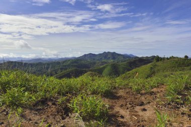 Yağmur mevsiminde Manzara Görünümü ile Tayland Batı Orman   