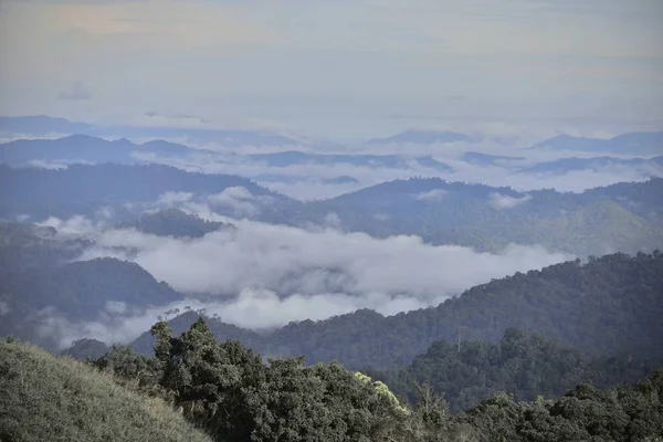 森林在泰国西部与雨季景观 — 图库照片