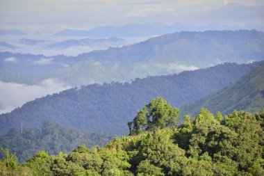 Bulanıklık stiliile yeşil dağ görünümü manzara : arka plan taban katmanına eklemek için sağlamak