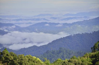 Bulanıklık stiliile yeşil dağ görünümü manzara : arka plan taban katmanına eklemek için sağlamak