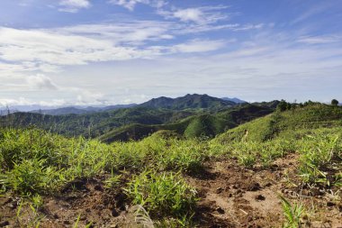 Bulanıklık stiliile yeşil dağ görünümü manzara : arka plan taban katmanına eklemek için sağlamak