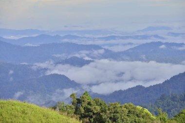 Bulanıklık stiliile yeşil dağ görünümü manzara : arka plan taban katmanına eklemek için sağlamak