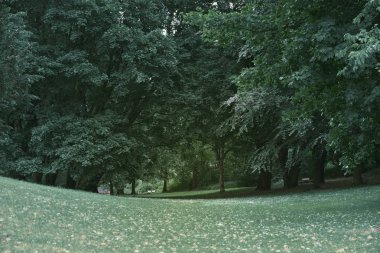 Humberg ,Almanya- 11 Haziran 2018 , Alsterwiese Schwanenwik paketi ve Almanya'da popüler iyi bir yer