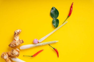 Üst Manzara - Baharatlı Tom Yum malzemeleri sarı arka planda. Tayland yemeği..