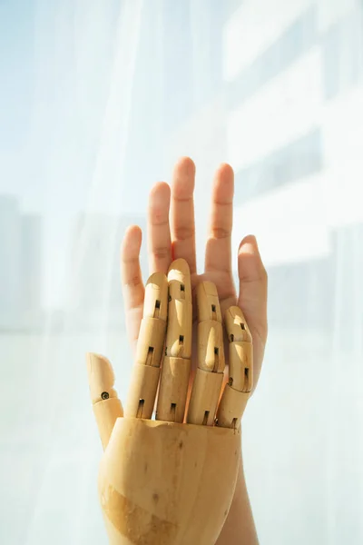 Hand of wooden cyborg robot and human touching each other.