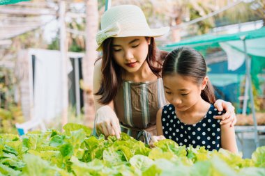 İki kız kardeş organik çiftlikte eğleniyor. Çocuklara kimyasal olmayan sebzeleri öğretiyorum..