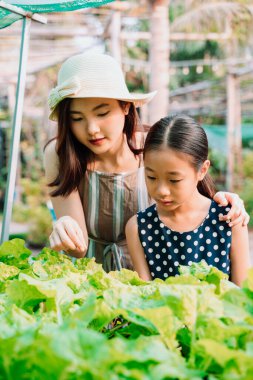 İki kız kardeş organik çiftlikte eğleniyor. Çocuklara kimyasal olmayan sebzeleri öğretiyorum..
