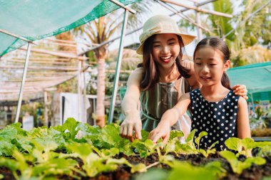 İki kız kardeş sebzeleri gösteriyor, topluyor, akşam yemeği için sebze seçiyor. Organik tarım.