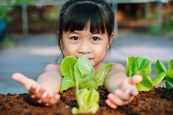 Toprakta filizlenen Asyalı çocuğu kapatın. Şirin küçük kız organik çiftlikte sebze yiyor..