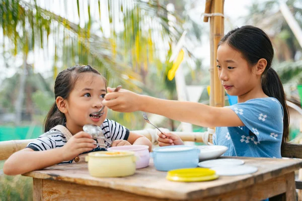 Hermana Grande Alimentando Hermana Pequeña Con Cuchara Del Recipiente Comida —  Fotos de Stock