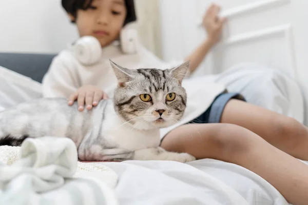 Kucing Berbulu Yang Duduk Samping Anak Kecil Sofa Ikatan Antara — Stok Foto