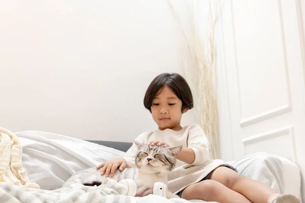 Beyaz Gömlekli Şirin Çocuk Oturma Odasındaki Kanepede Pofuduk Kediyle Oynuyor — Stok fotoğraf