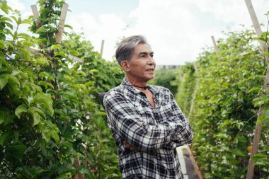 Çiftlikteki yerel Asyalı yaşlı çiftçinin portresi.