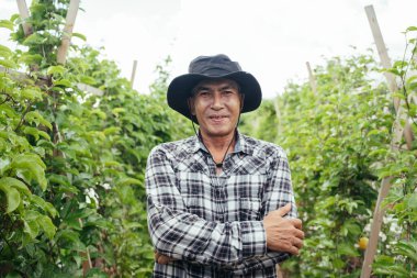 Çiftlikte şapkası olan Asyalı yaşlı çiftçinin portresi..