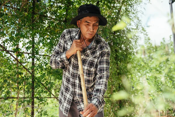 Asian Elderly Senior Farmer Using Shovel Farm — Stock Photo, Image