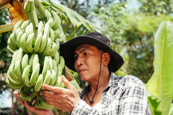 Asiático Anciano Granjero Senior Trabajando Banana Farm — Foto de Stock