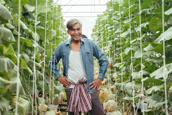 Alegre Asiático Mayor Agricultor Melón Granja — Foto de Stock