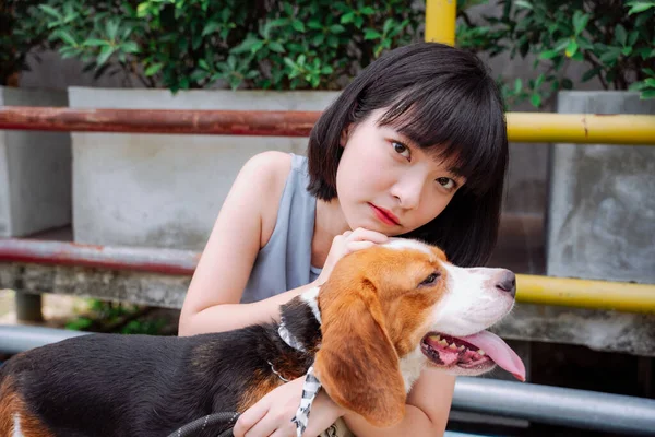 Beautiful Asian Thai Short Hair Woman Petting Beagle Dog Love — Stock Photo, Image