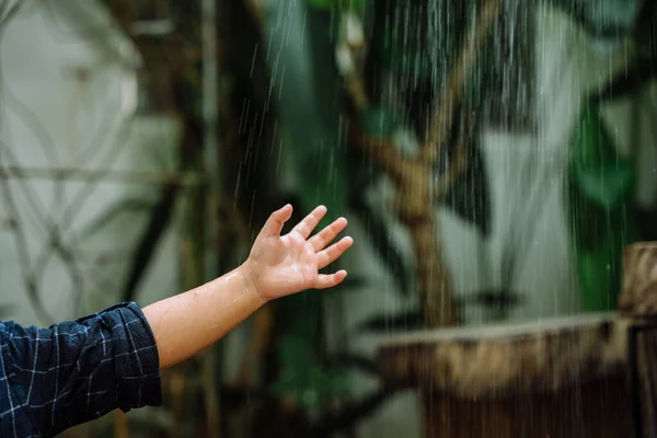 아이가 내리는 빗방울에 닿는다 — 스톡 사진