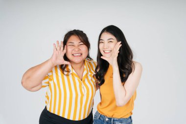 Beyaz arka planda neşeli iki LGBTQ lezbiyen çifti.