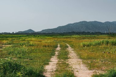 Arka planda dağ olan güzel tarlaya giden toprak yol..