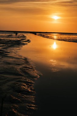 Tayland 'da altın saatinde güzel bir gün batımı manzarası.