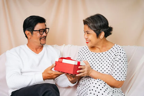 Romantic senior couple giving happy birthday gift box on a couch.