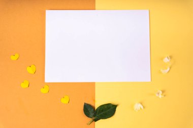 Üst Görünüm - Turuncu ve sarı arkaplan modeli için kağıt.