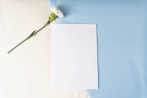Üst Görünüm Mavi Beyaz Arkaplanda Çiçek Kağıt — Stok fotoğraf