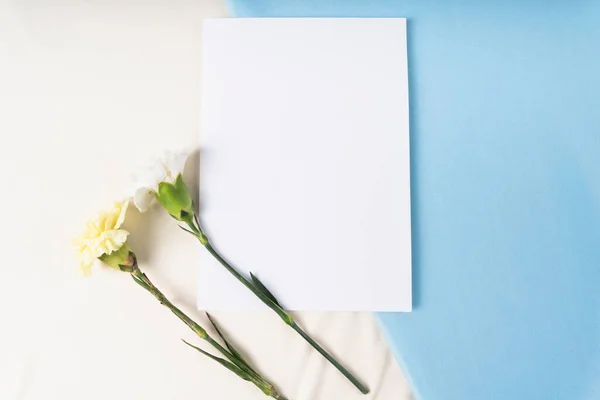 Üst Görünüm Mavi Beyaz Arkaplanda Çiçek Kağıt — Stok fotoğraf