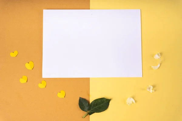 Üst Görünüm Turuncu Sarı Arkaplan Modeli Için Kağıt — Stok fotoğraf