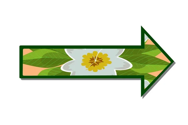 Flèche Symbole Direction Simple Avec Motif Fleur Frangipani Feuilles Vertes — Image vectorielle