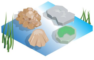 Yüzen Kayalıklı Isometric Göleti