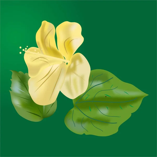 Fleur Hibiscus Jaune Tropicale Exotique — Image vectorielle