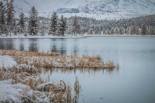 Altai. Den första snön i bergen runt den inte frusna sjön. — Stockfoto