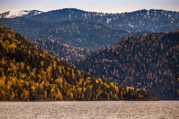 Altay. Teletskoye Gölü'nde sonbahar. Kıyılarda yeşil-sarı renk paleti.