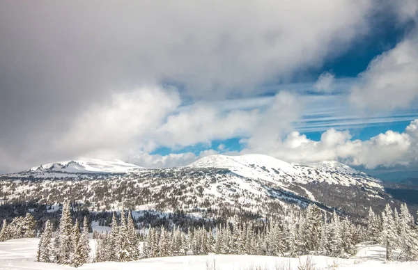 겨울 산 풍경입니다. 산봉우리, 울창한 구름, 푸른 하늘을 배경으로 눈 아래 가문비 나무 타이가. 셰레게시. 러시아. — 스톡 사진