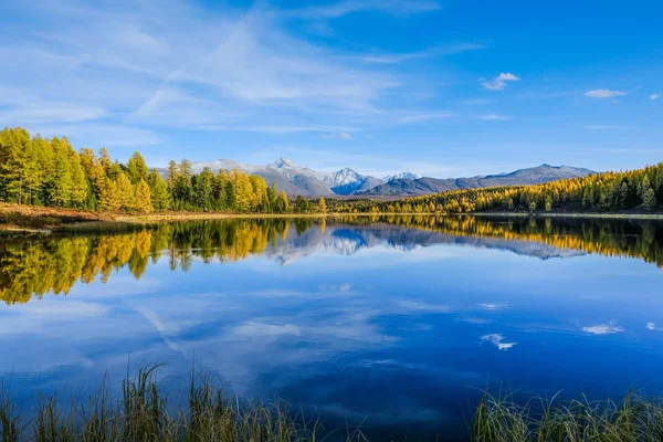Paysage d'automne dans les montagnes. Reflet des montagnes et des arbres verts jaunes à la surface du lac. La Russie. Sibérie. République d'Altaï . Photos De Stock Libres De Droits