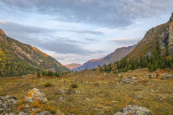 Höstlandskap i fjällen. Valley med stenar och färgglada mossa omgiven av skogar och berg. Ryssland. Sibirien. Altai Republiken. — Stockfoto