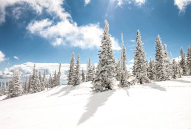 Kış dağı manzarası. Güneşli bir gün. Taze beyaz kar altında koyu bulutlar ve mavi gökyüzü üzerinde kozalaklı tayga..