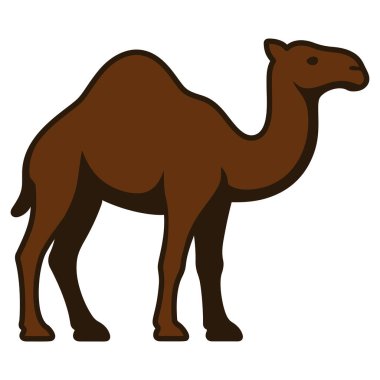 Deve simgesi silueti vektör illüstrasyonu çöl hayvanı vahşi yaşam grafik tasarımı seyahat Arap memelisi tasarımı biçimi