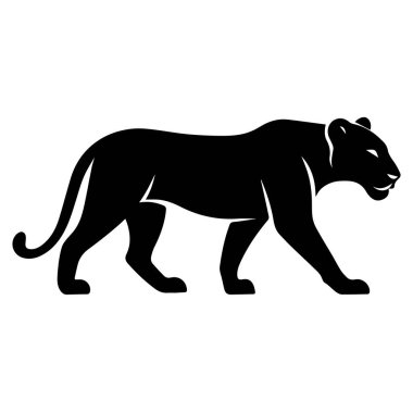 Siyah bir panterin silueti yürüyen görkemli silueti güçlü büyük bir kedinin