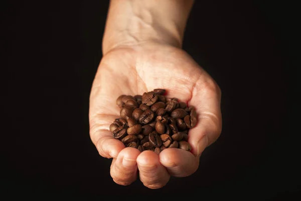 Natural brown coffee beans. Poured into the palm of the hand. Glossy color and metallic luster. Picture on a black background.