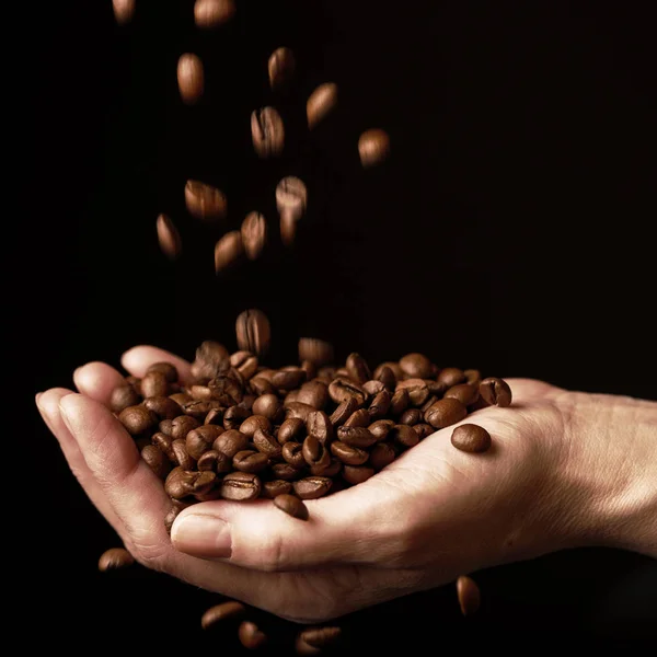 Natural brown coffee beans. Poured into the palm of the hand. Glossy color and metallic luster. Picture on a black background.