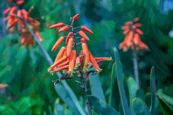 Selektivní Zaměření Natřené Červené Kvetoucí Květiny Zelenými Listy — Stock fotografie