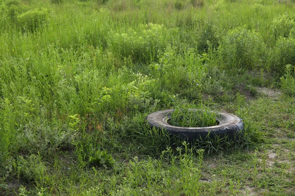 巨大なゴミ捨て場のある緑の森と草の風景。自然汚染の概念 — ストック写真