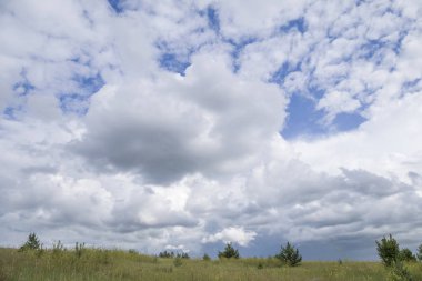 Mavi gökyüzü ve çayır ağaç güzel bulut. Yaz poster için düz manzara arka plan