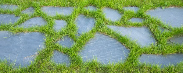 Natural Grey Stone Paving Path Fresh Cut Green Grass Landscape Imagen De Stock