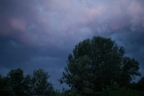 Céu Tempestuoso Escuro Nuvens Pesadas Sobre Árvores Sopradas Pelo Vento — Fotografia de Stock