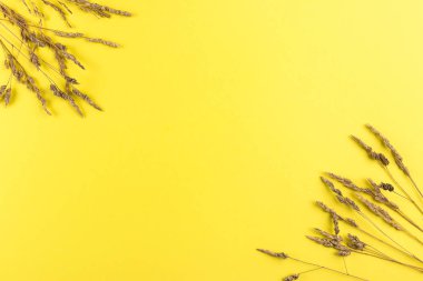 Kır çiçekleri ve kuru otlardan oluşan yaratıcı yaz düzeni